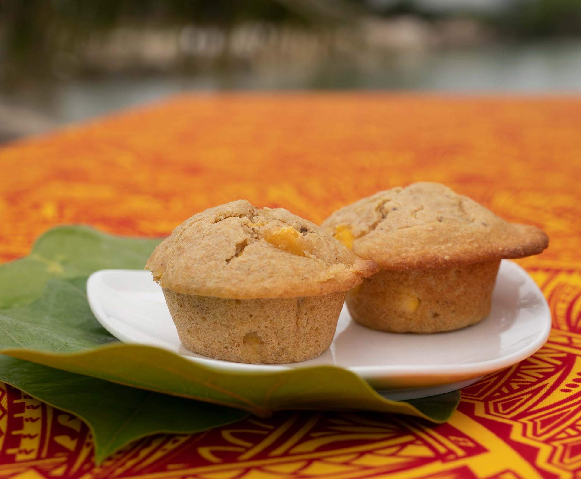 Josh-and-Nox-Banana-Papaya-Muffins